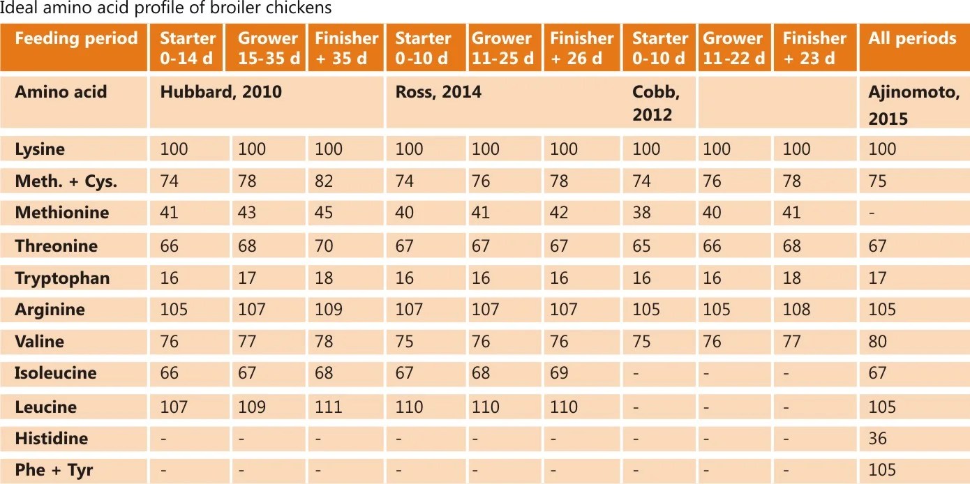 Importance of precise amino acids requirement in broiler production