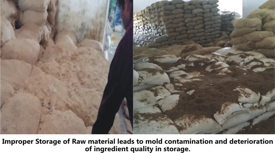 Mold Infestation and its Control in Feed Raw Materials Benison Media