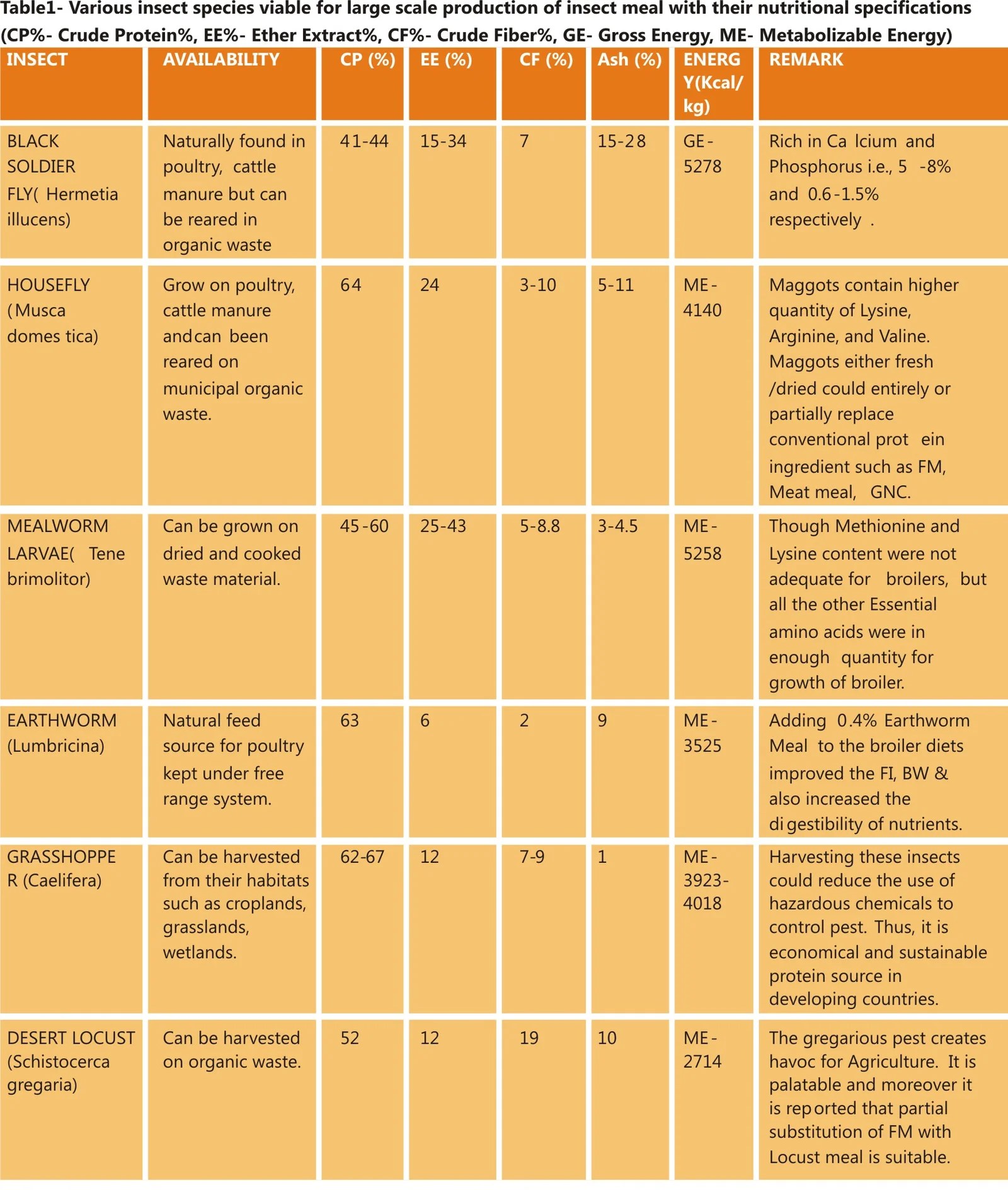 Insect Meal as an Alternative Protein Source for Poultry Benison Media