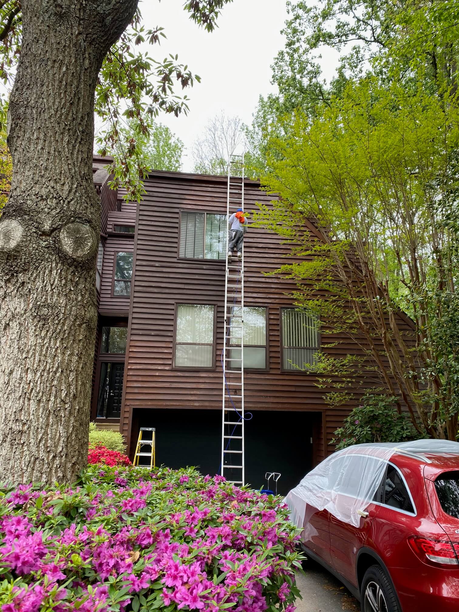 Virginia Painters Best Rated Benjamin Painters