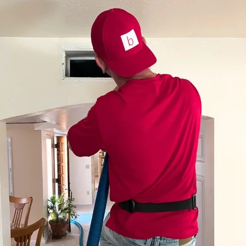 How to Improve Air Quality in Your Home Benjamin's Carpet Cleaning