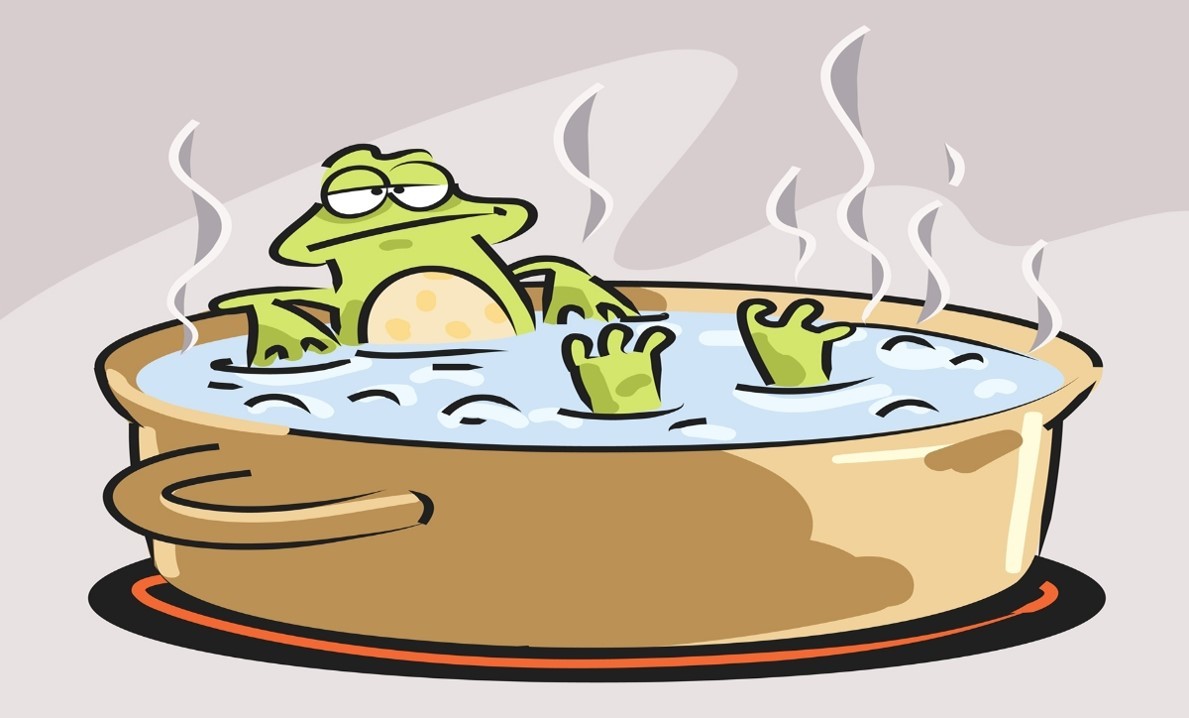 The Boiling Frog Analogy The Life and Times of Ben Weinberg