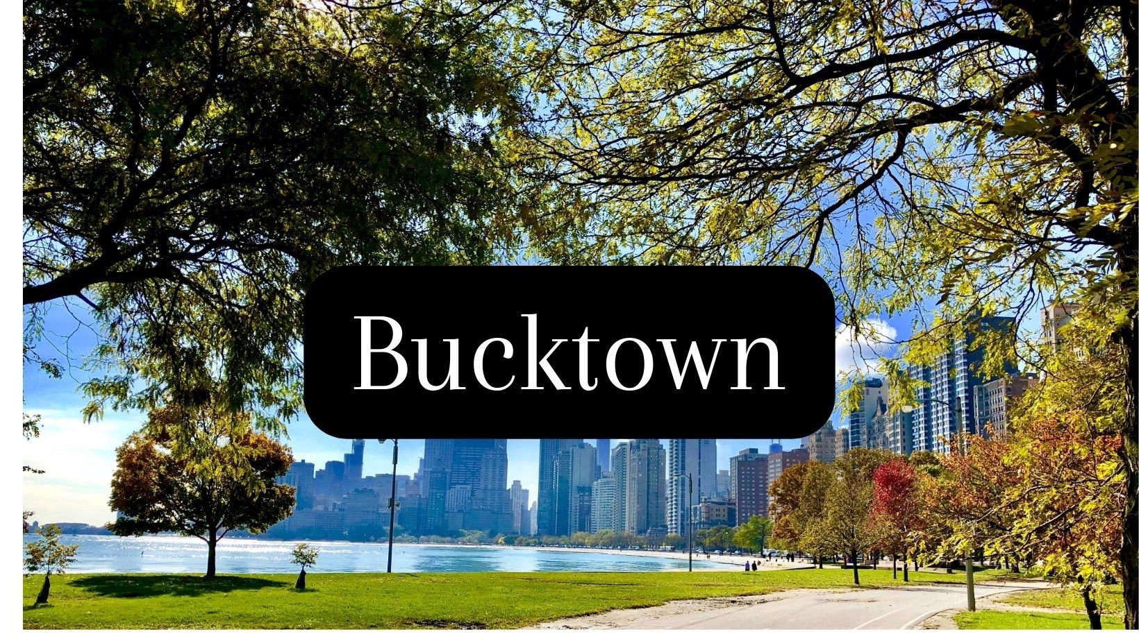 Bucktown, Chicago Guide to Lifestyle, Schools, and Real Estate Ben Lalez