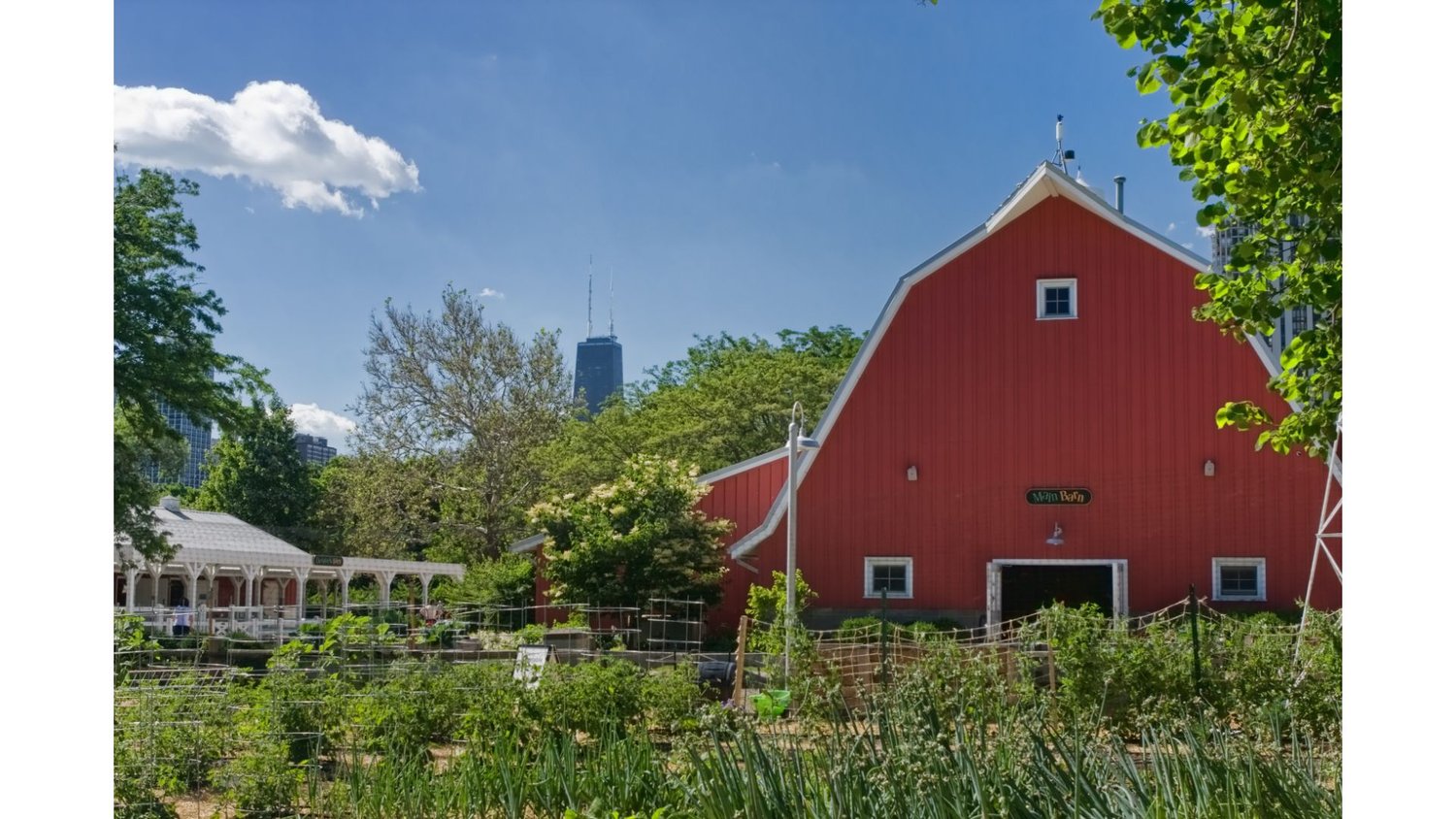 Exploring the Dynamic Lincoln Park Real Estate Market Ben Lalez