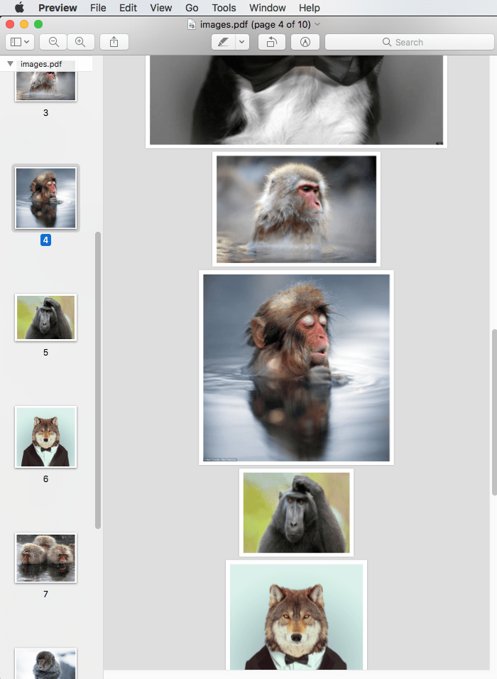 Using CFDocument And CFPDF To Generate PDFs With DifferentSized Pages