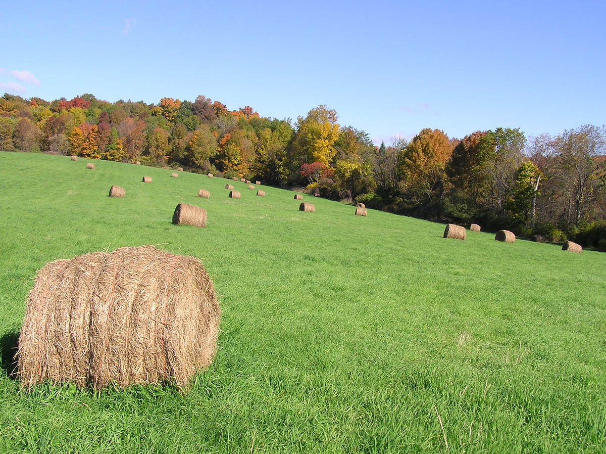 Bennington Real Estate & Homes for Sale in Bennington, VT