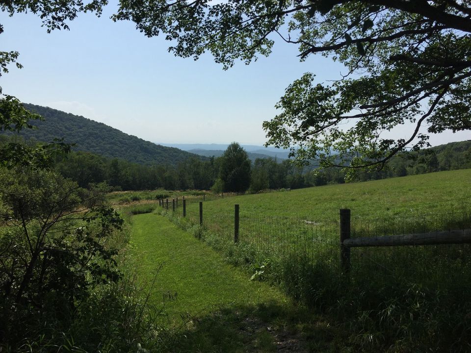 Edible Invasives Bennington Museum Grandma Moses Vermont History
