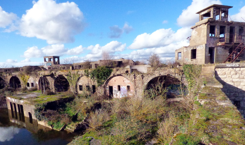 Cliffe Fort Medway's Forts