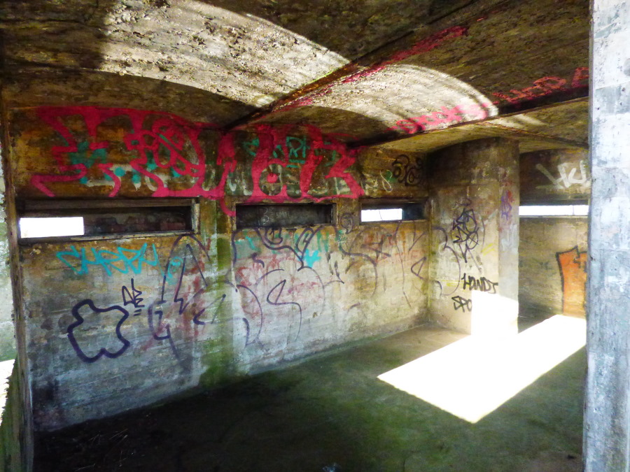 Cliffe Fort Medway's Forts