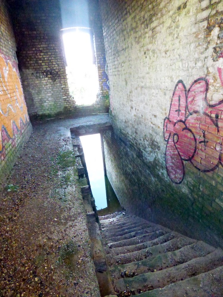 Cliffe Fort Medway's Forts