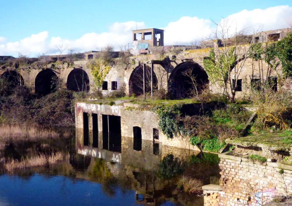 Cliffe Fort Medway's Forts