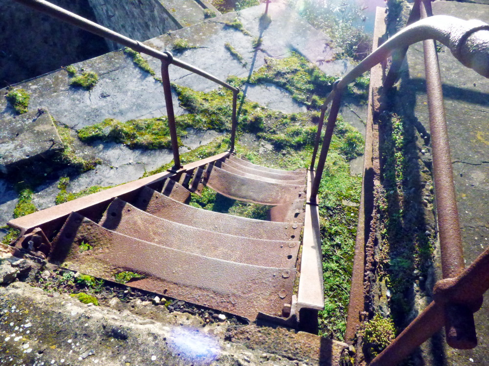 Cliffe Fort Medway's Forts