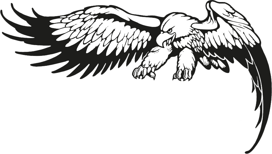 Ernie Ball Logo Ben Poole