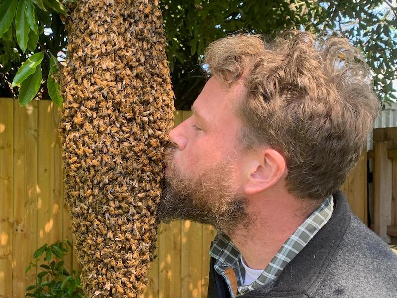 Bee Hives For Sale Ben's Bees