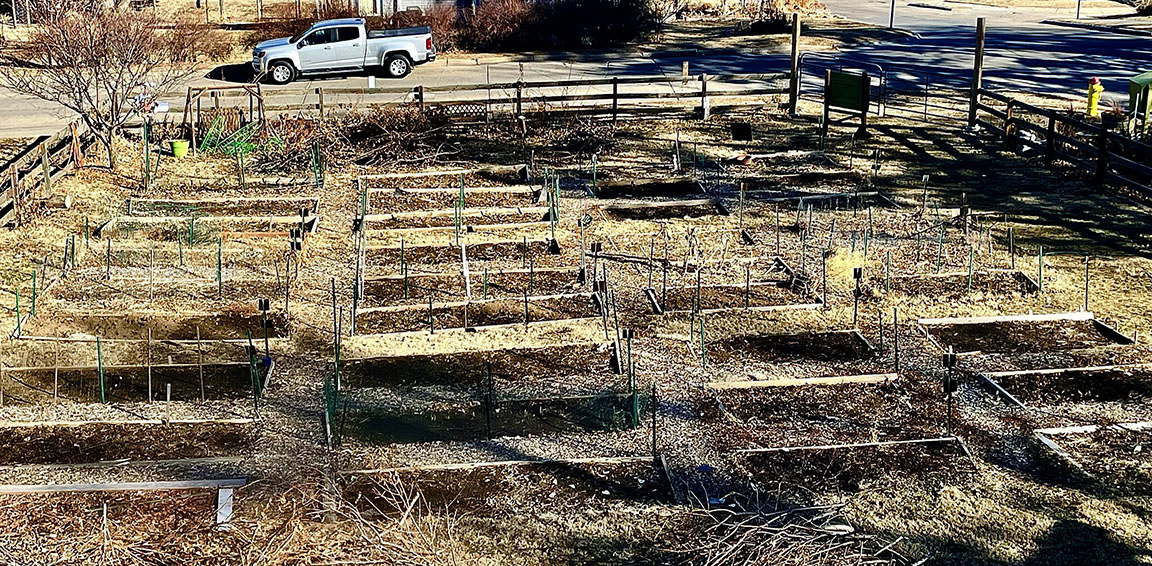 Rebuild the Garden Benson Community Garden