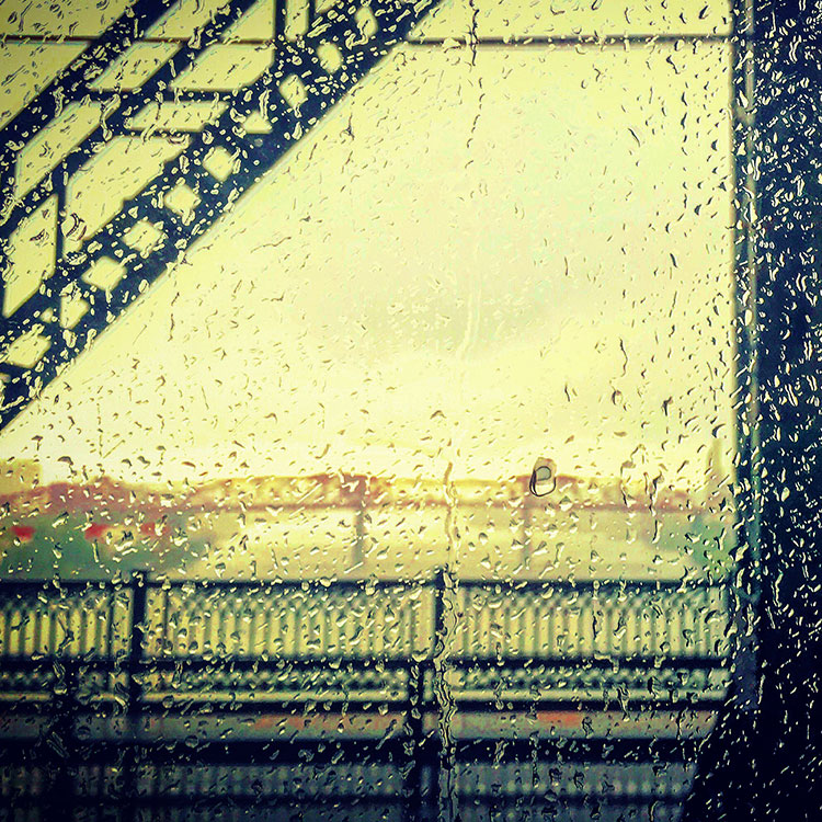 Pet Friendly Hotel Portland Oregon Portland Hotel The Benson