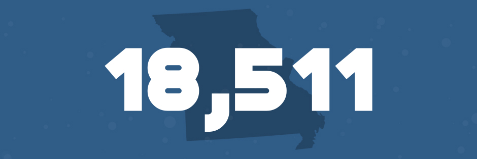 How to File Bankruptcy in Missouri Step-By-Step Guide