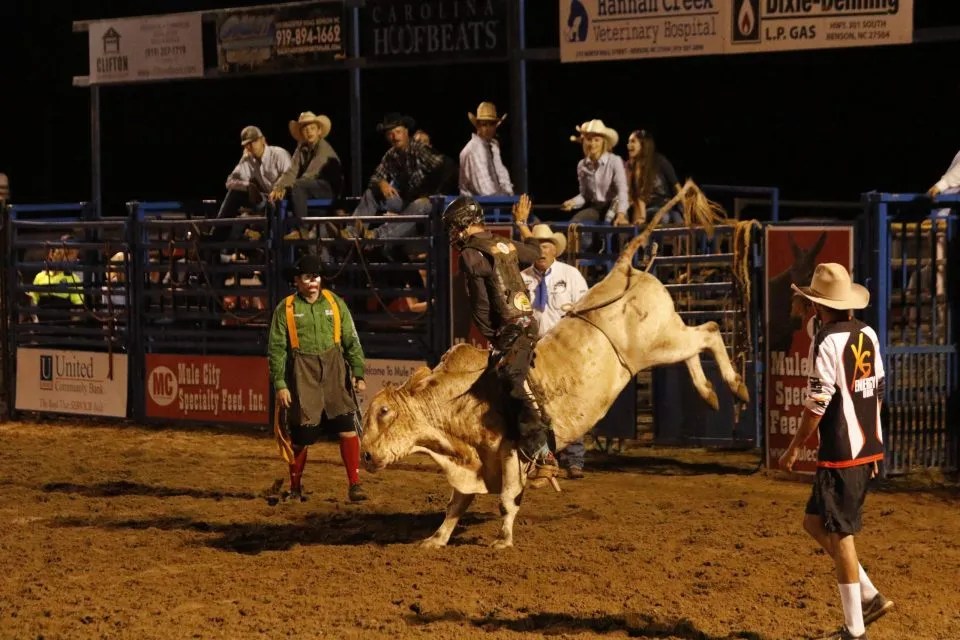 Events Benson Mule Days