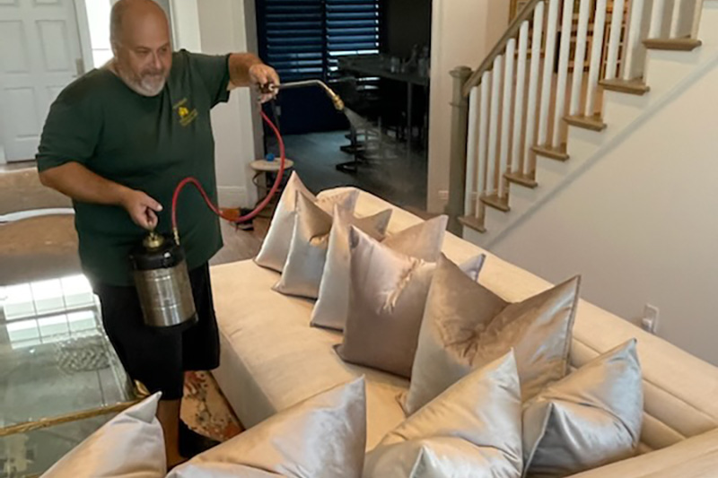 Protectors Benson Rugs Carpet, Upholstery & Rug Cleaning