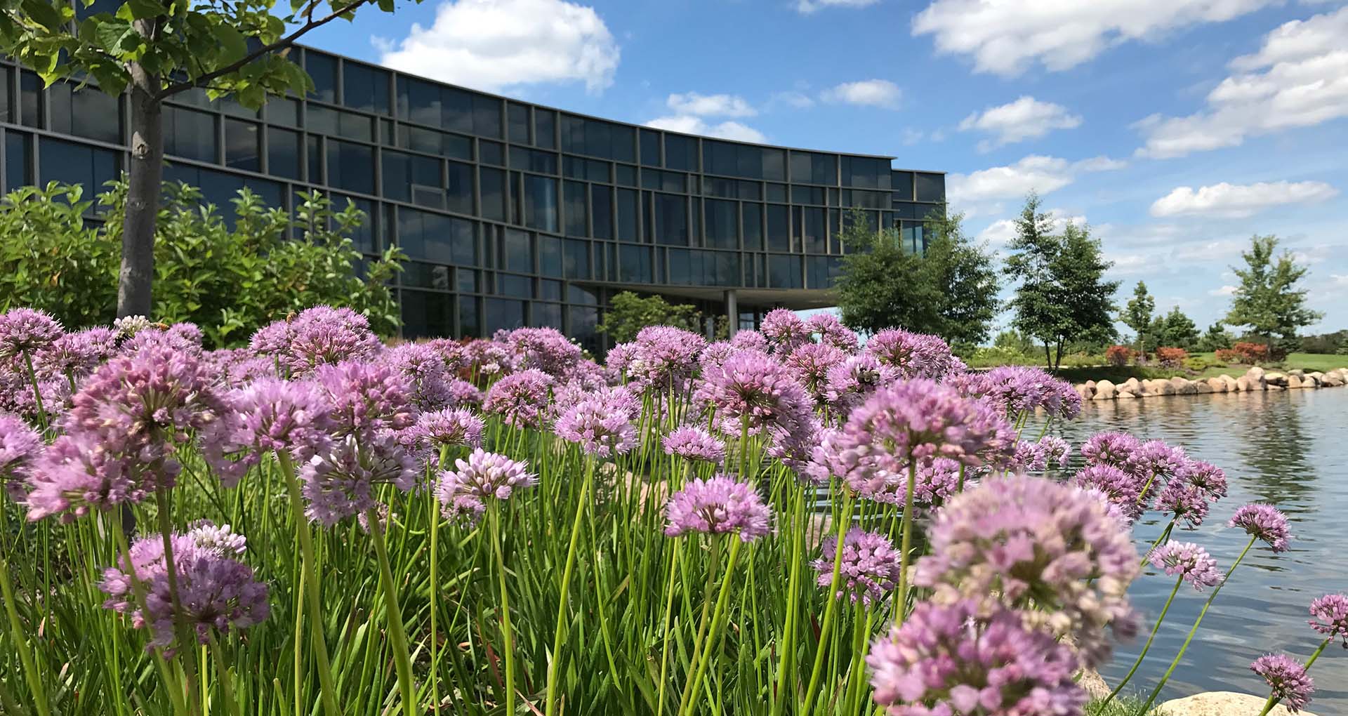 Swedish American Regional Cancer Center Benson Stone