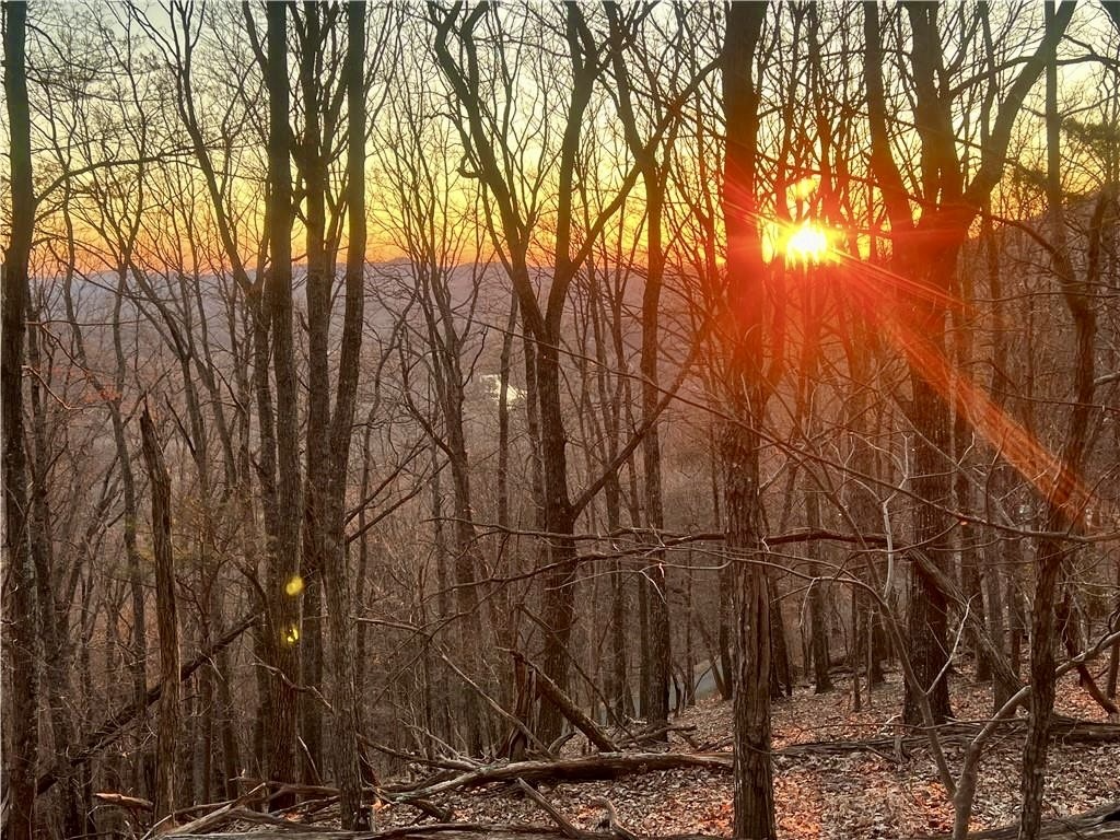 Featured Listing Unlock the Potential of Overlook Lots on Bella Vista