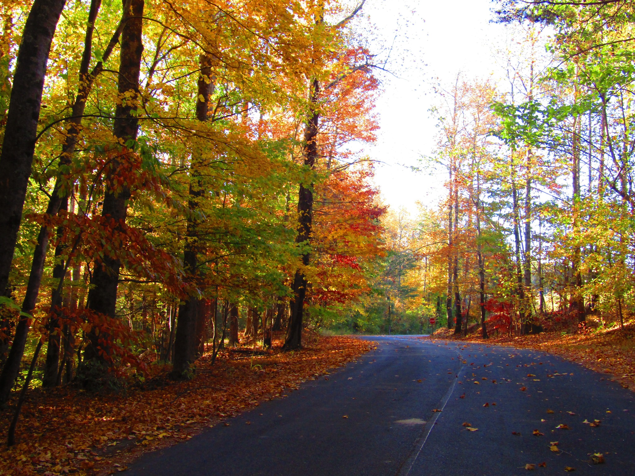 Bent Tree Realty Discover Mountain Living