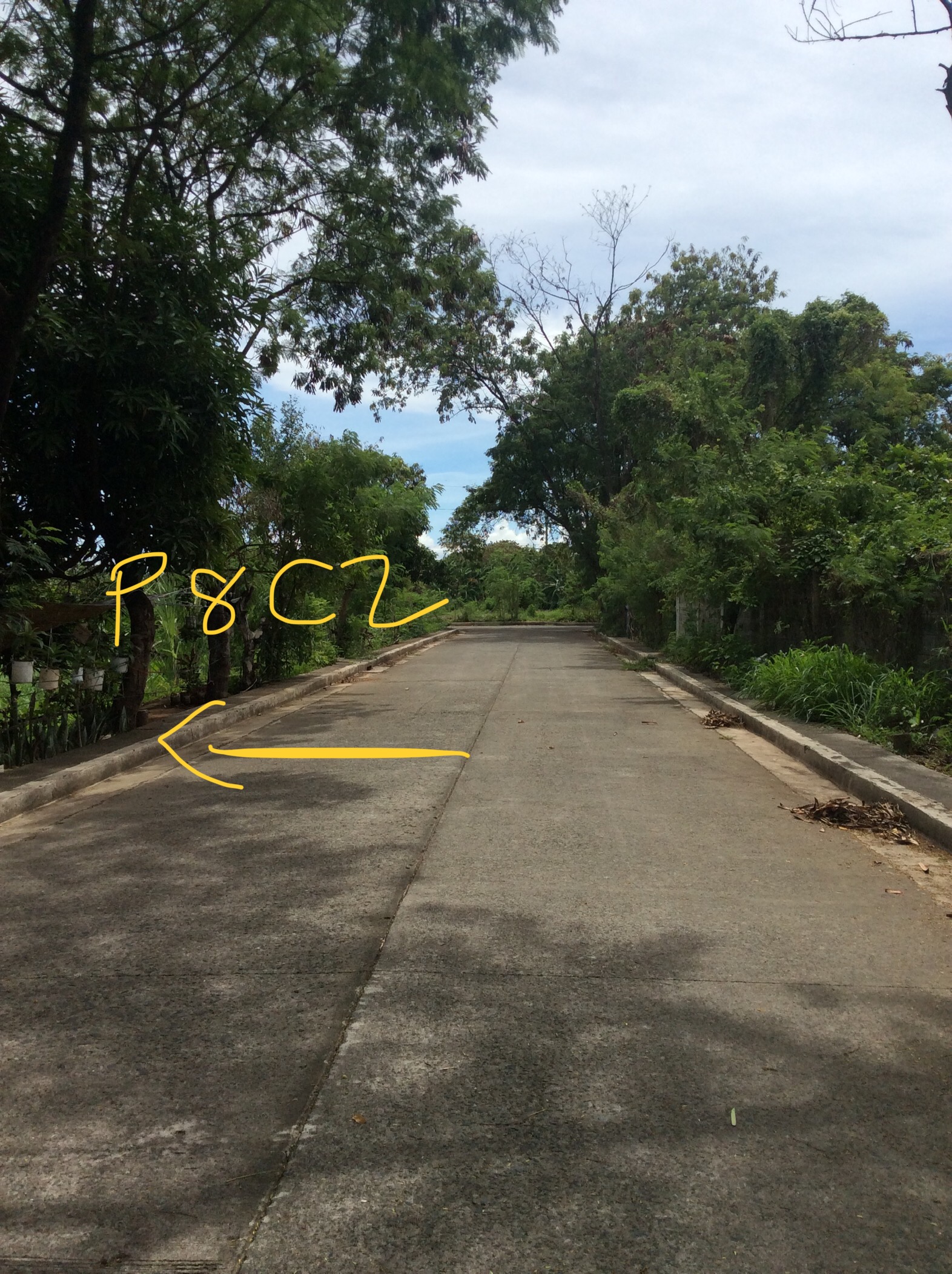 200sqm lot for sale in cainta greenland executive village cainta rizal