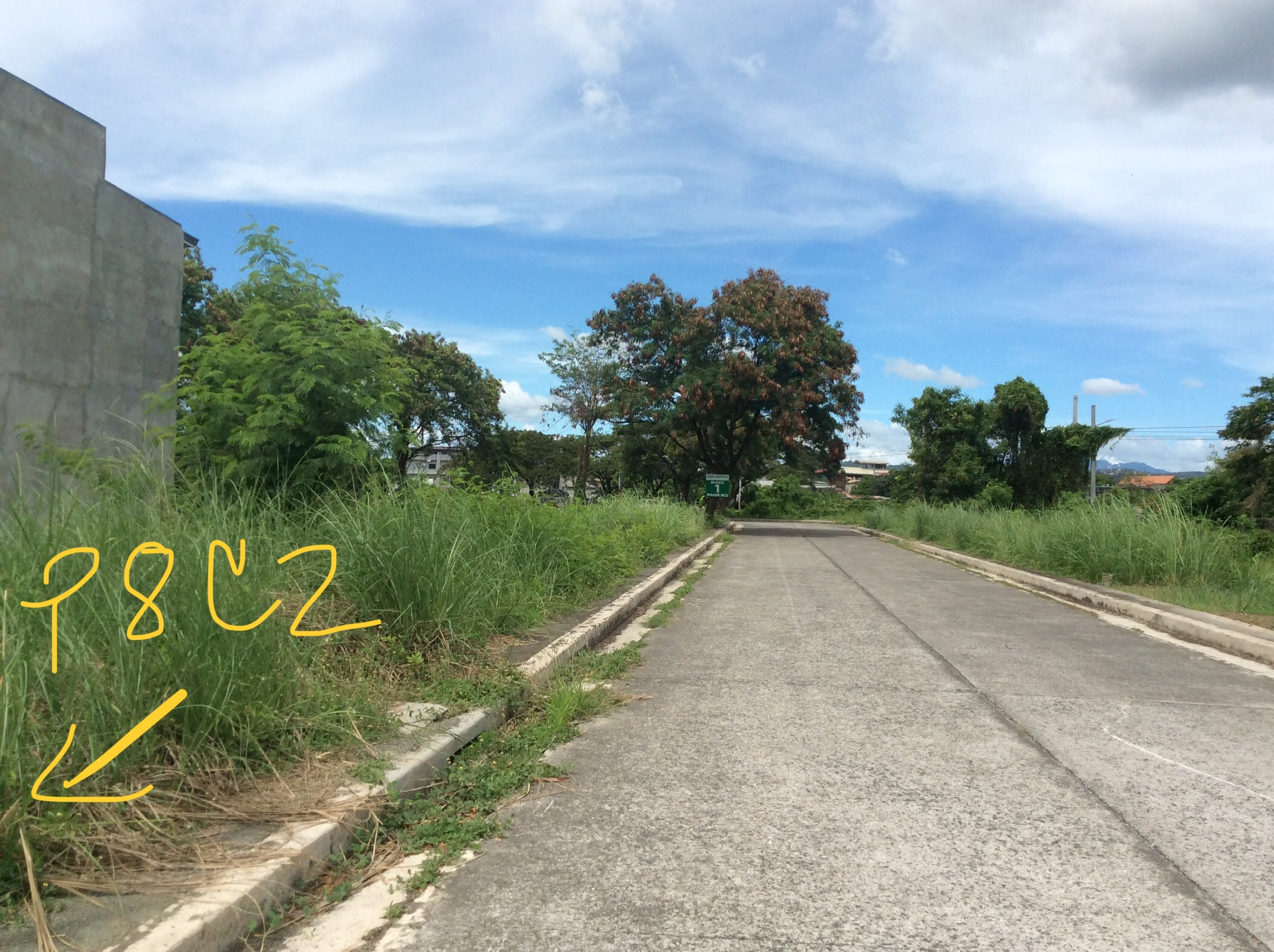 133sqm lot for sale in cainta greenland executive village cainta rizal