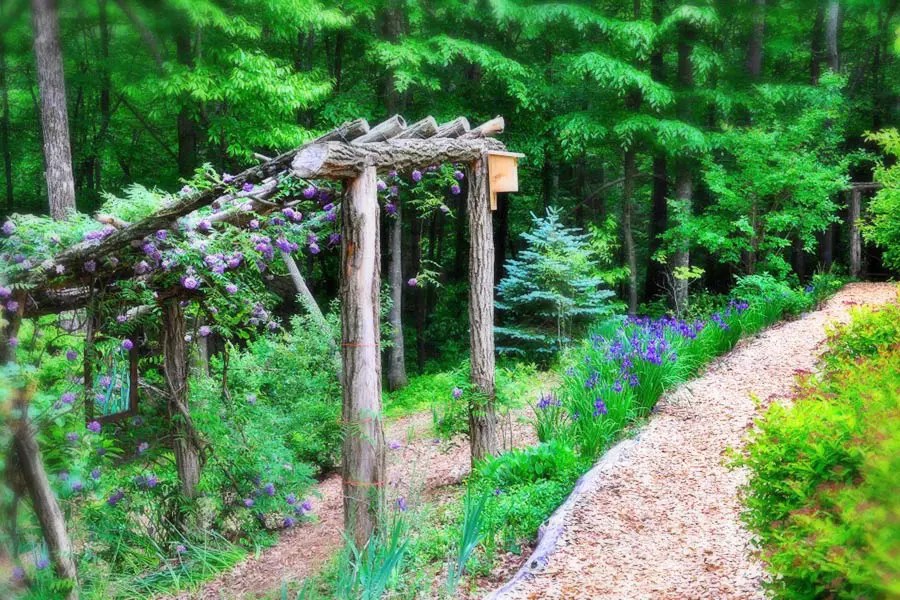 Bent Creek Asheville to Bent Creek Lodge in Asheville!