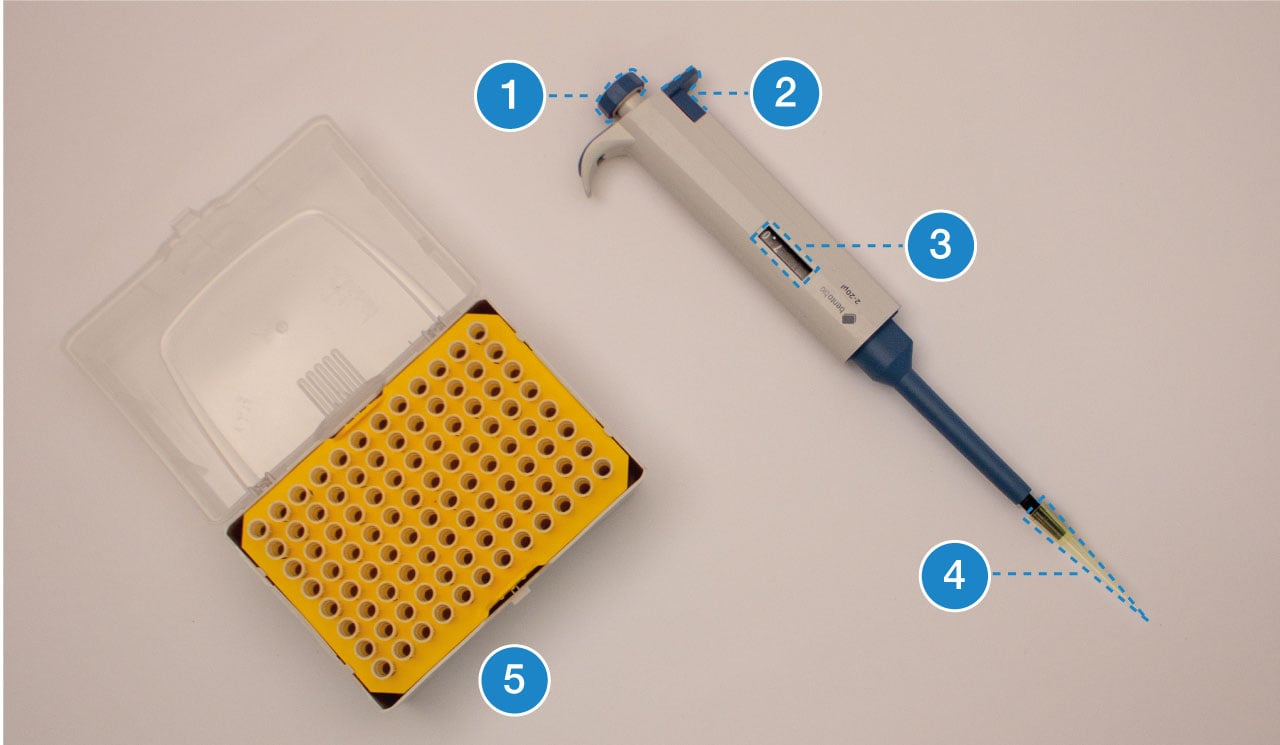 Biotechnology 101 Guide Introduction to Pipetting Bento Lab