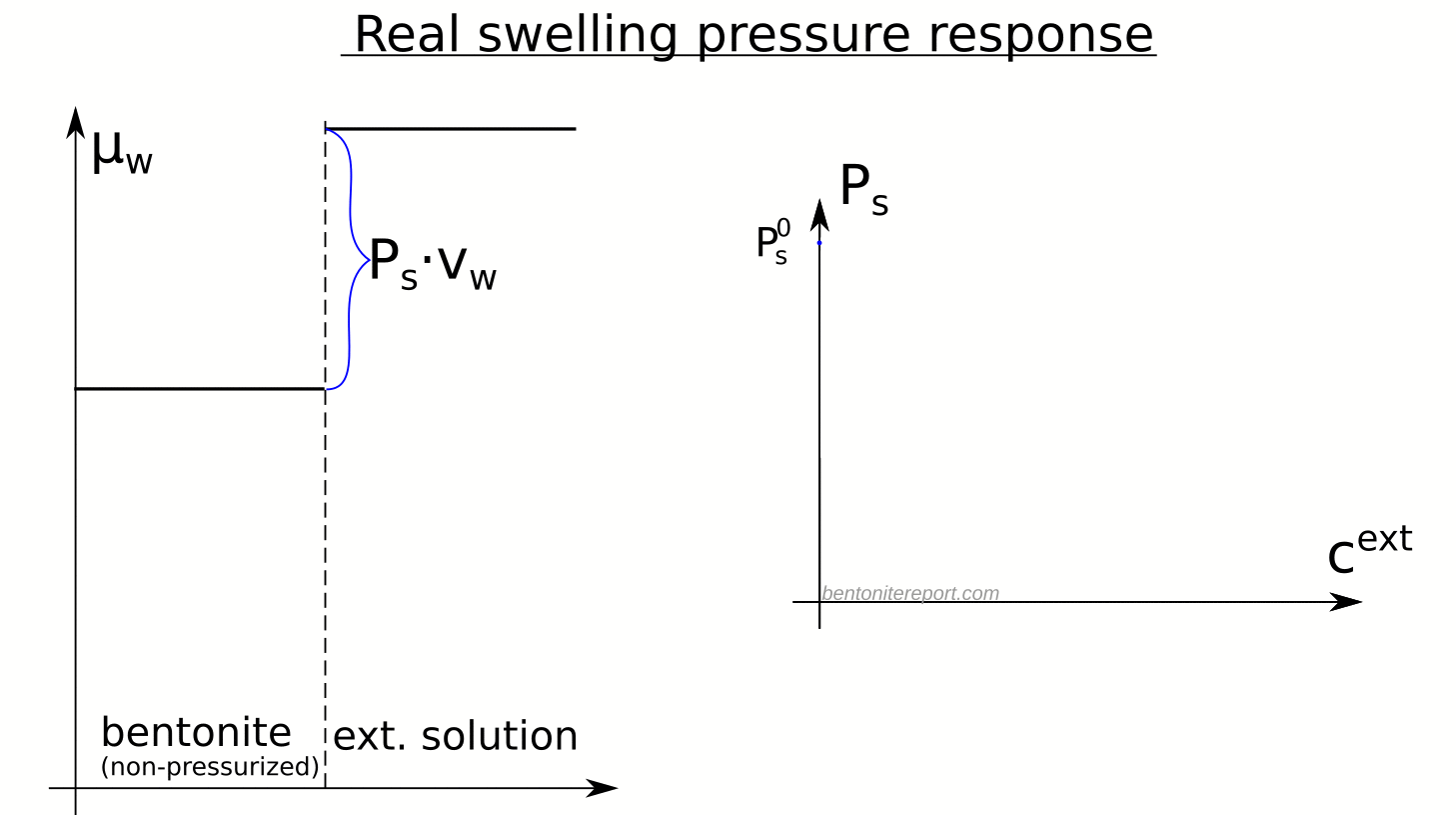 Evidence for anions in montmorillonite interlayers (swelling pressure