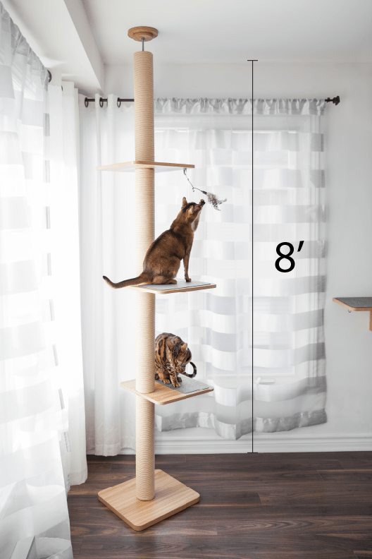 About cat trees Evo Tower Help center