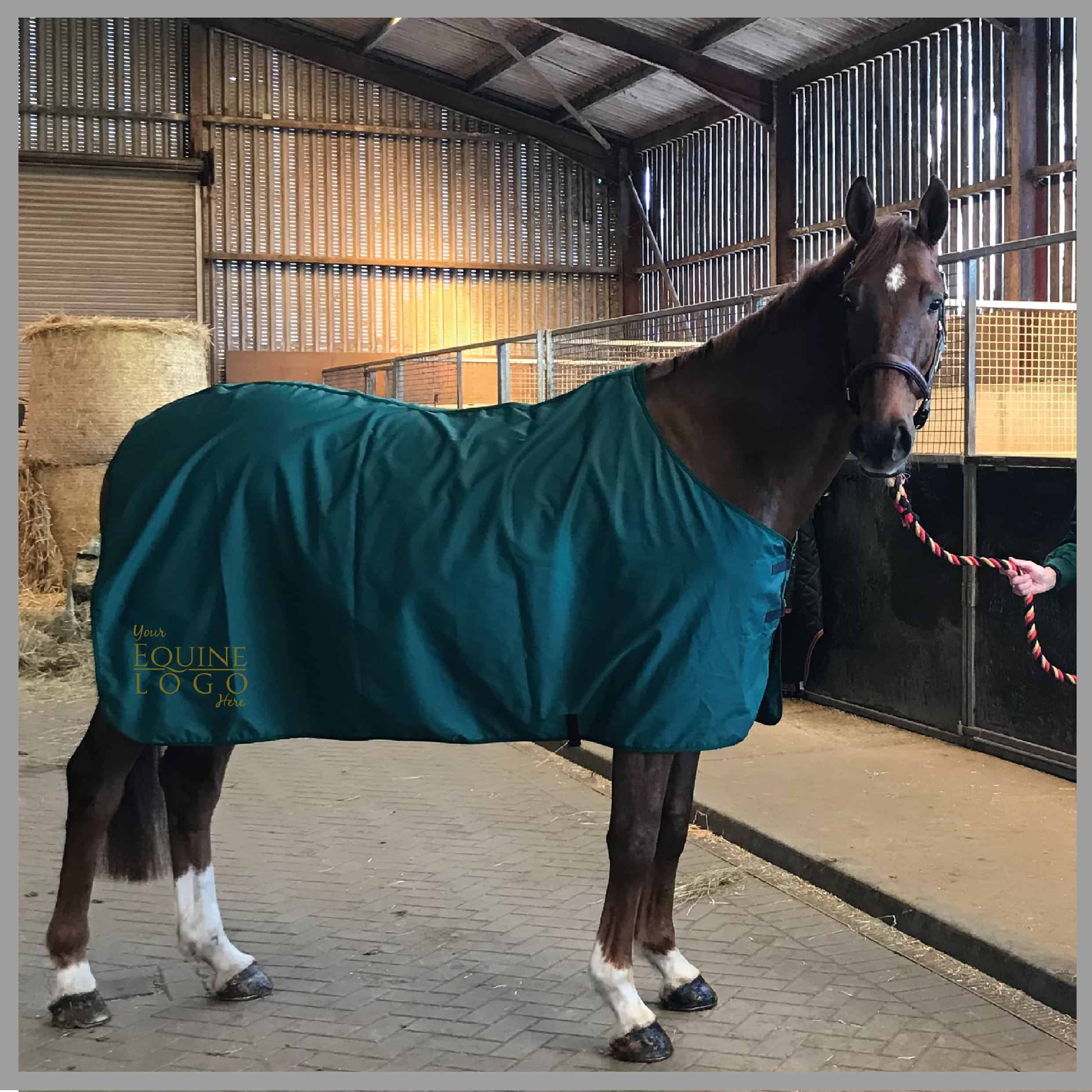 Embroidered Horse Rugs Bequestrian
