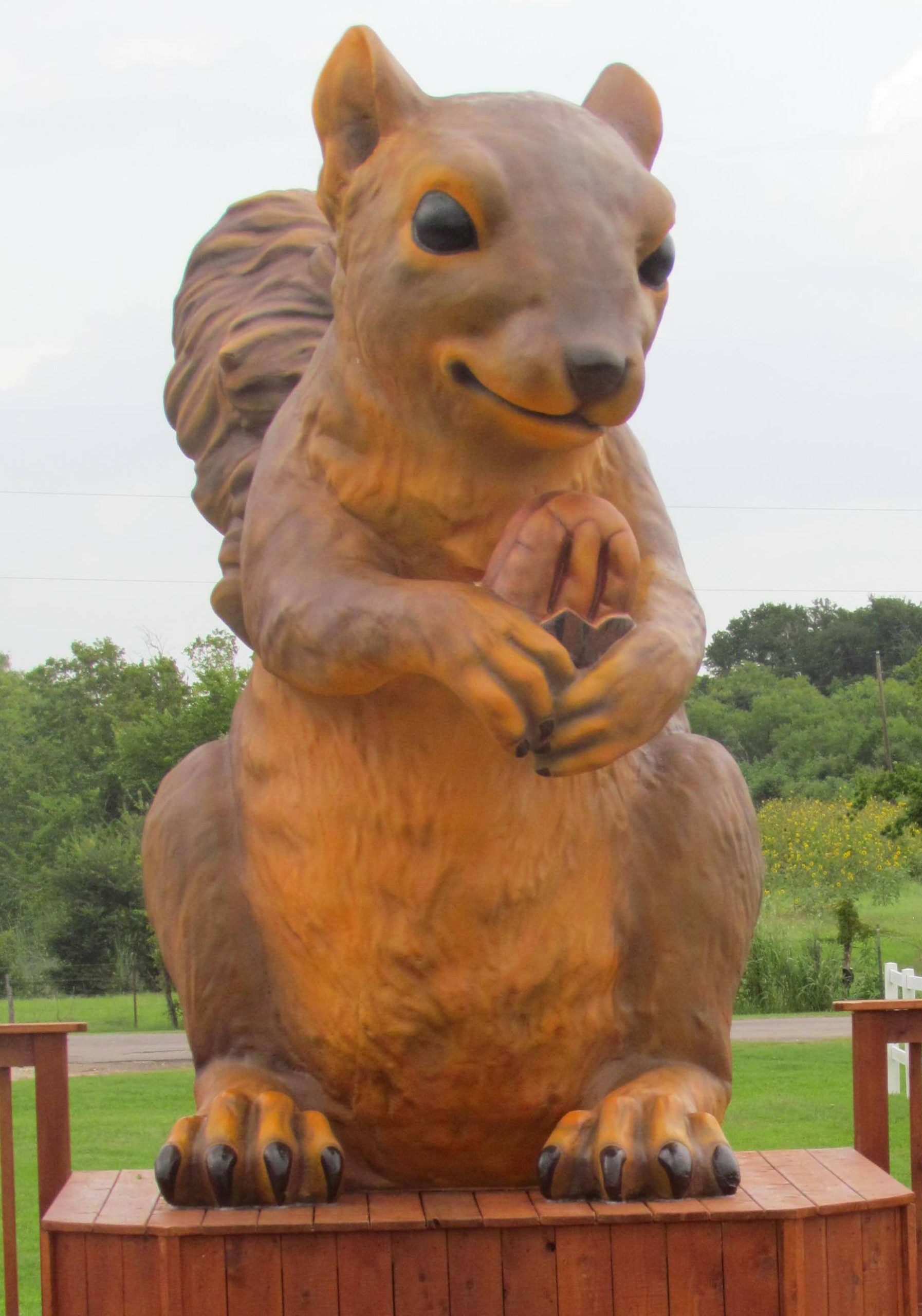 2015 Gallery Ms. Pearl The Giant Squirrel Statue in Texas