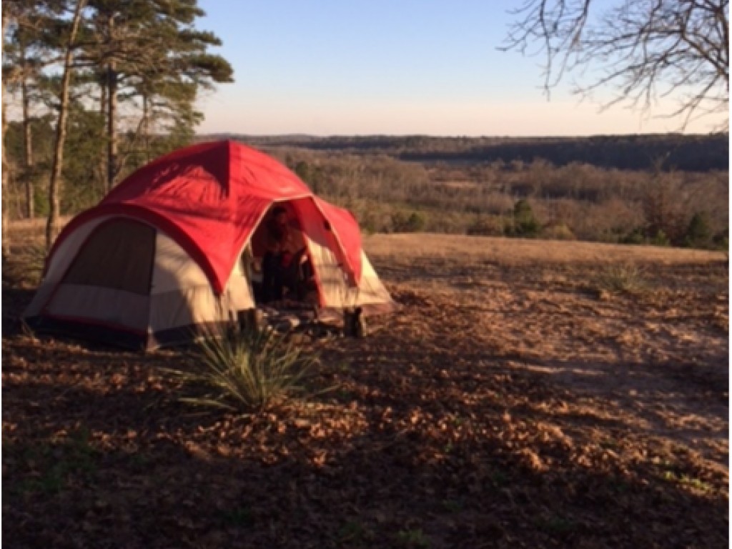 193 ACRE PINEYWOODS FARM, FRANKSTON TEXAS Bergfeld Realty Company