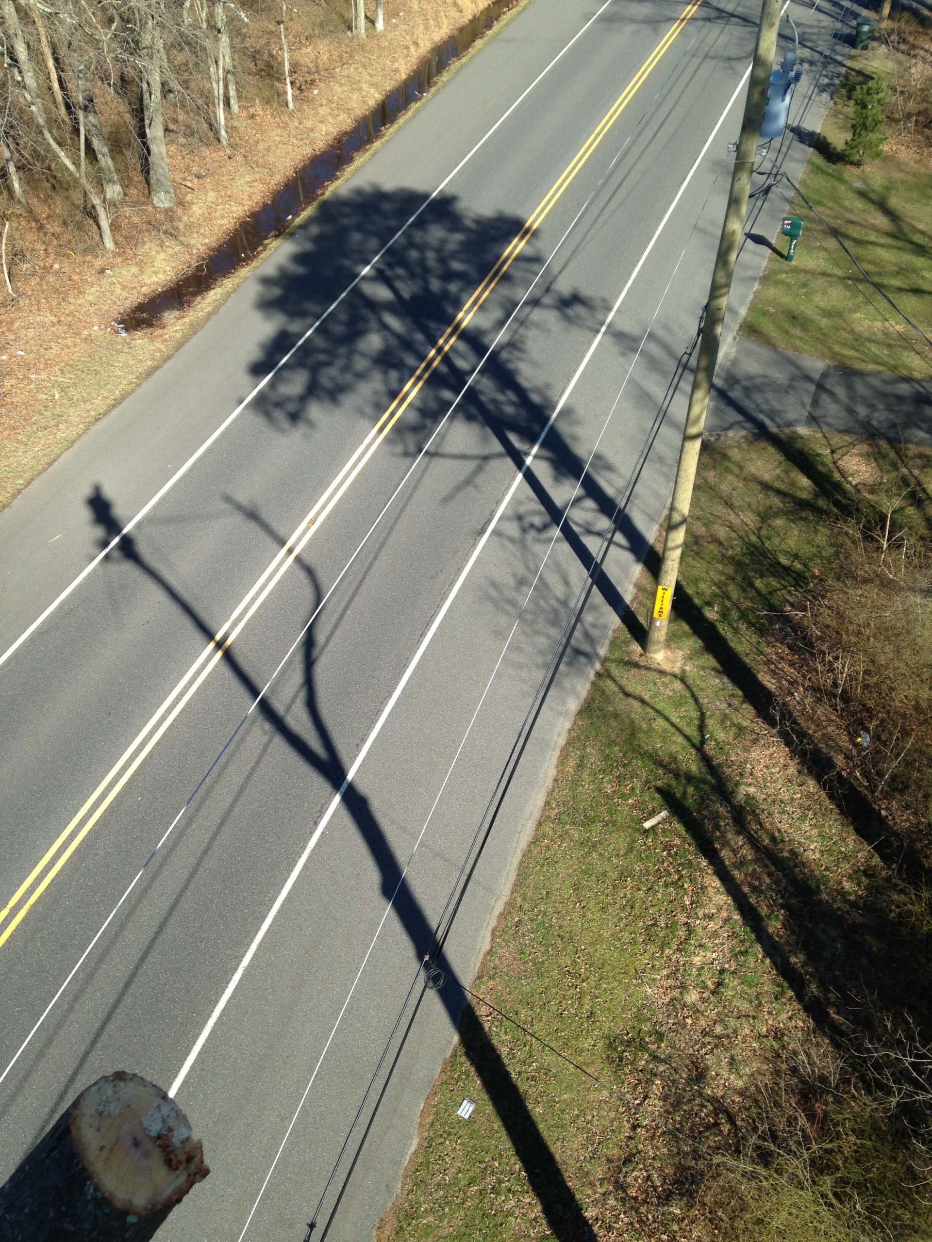 Climbing Bergholz's Tree Experts Gloucester County Tree Service