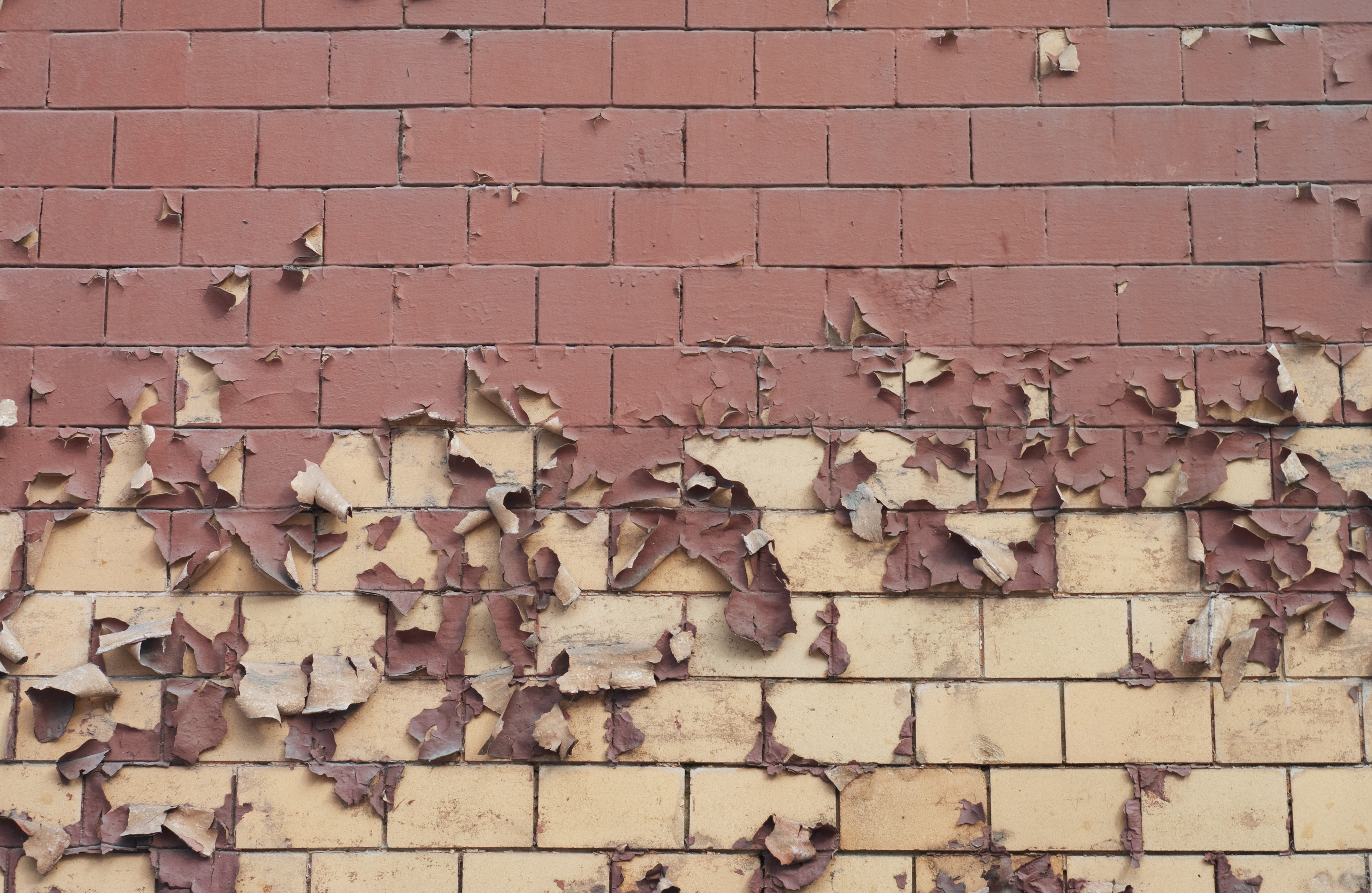 New Law New Jersey LeadBased Paint Inspections in Rental Dwelling