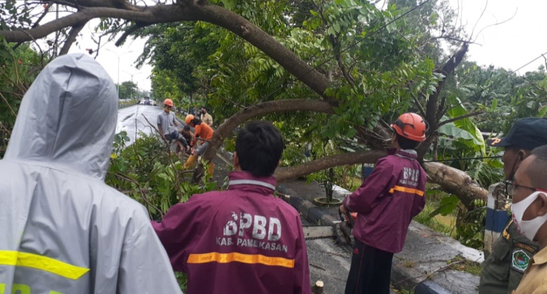 Hujan Deras dan Angin Kencang Landa Pamekasan