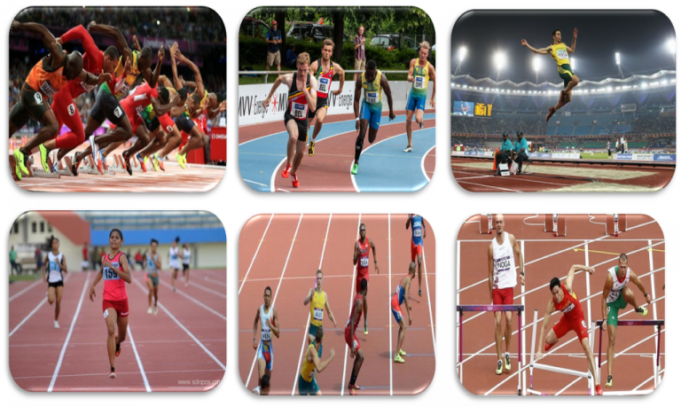 Induk Organisasi Atletik Nasional & Internasional Beritaku.id