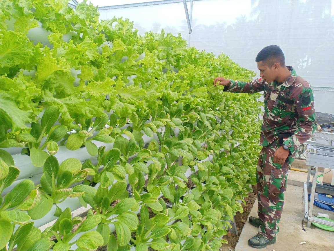 Green house, Sebagai Rumah Pemanfaatan Lahan Sempit Kodim 1510/Sanana