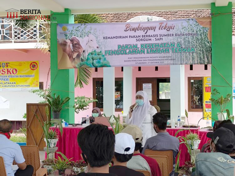 Lowongan kerja teknisi informatika bappeda litbang kabupaten oku selatan. Balitbang Pertanian Ri Dan Disnakkeswan Situbondo Gelar Bintek Kemandirian Pakan Berbasis Sumberdaya Lokal Berita Nasional Indonesia