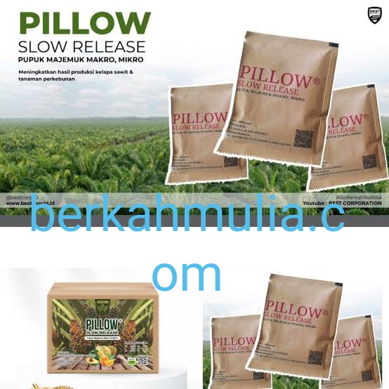 GROSIR PILLOW SLOW RELEASE DI INDONESIA 085602726192