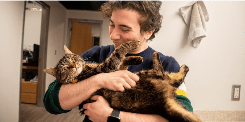Emotional support animals oncampus double as mental health diagnoses increase nationally The