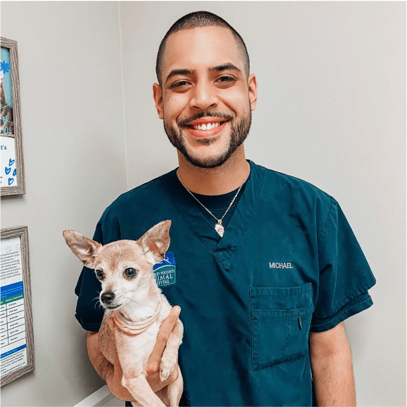 Veterinary Hospital Near Me 07922 Berkeley Heights Animal Hospital