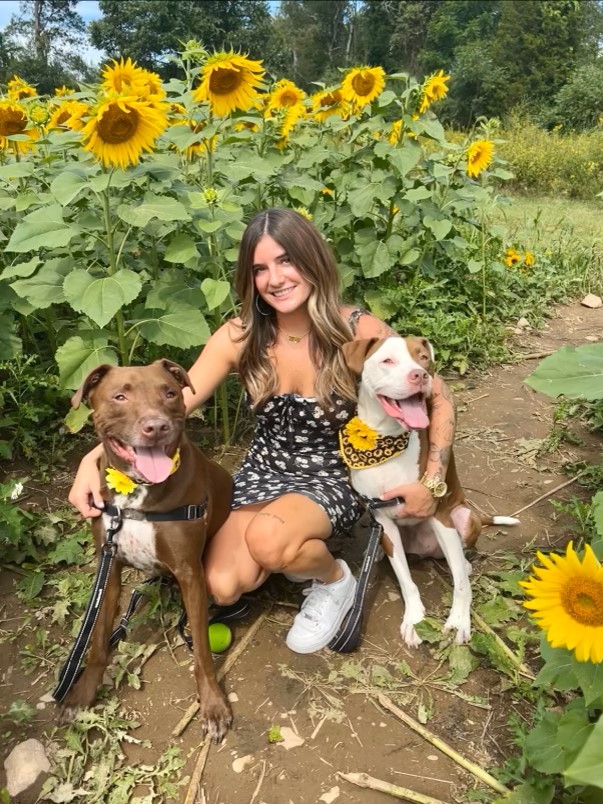 Jules Berkeley Heights Animal Hospital