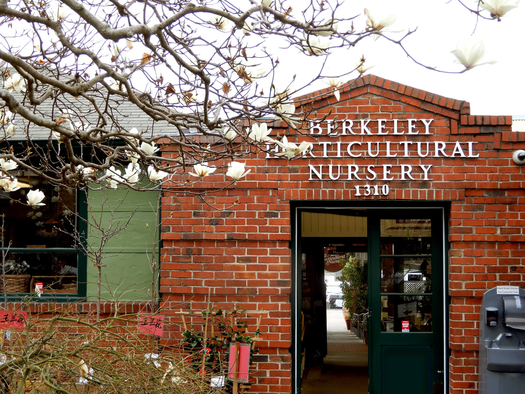 Home Berkeley Horticultural Nursery Berkeley Horticultural Nursery