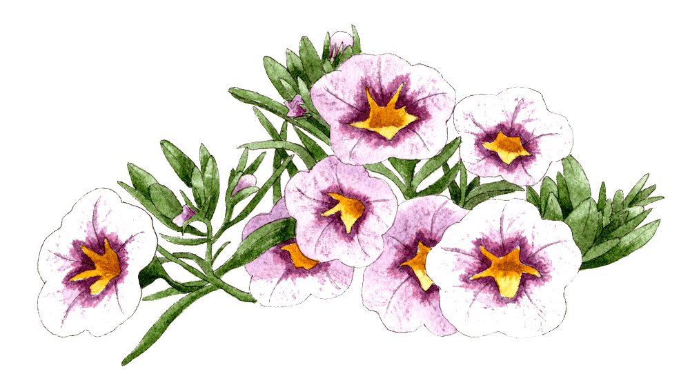 Hanging out in the sun Berkeley Horticultural Nursery Berkeley