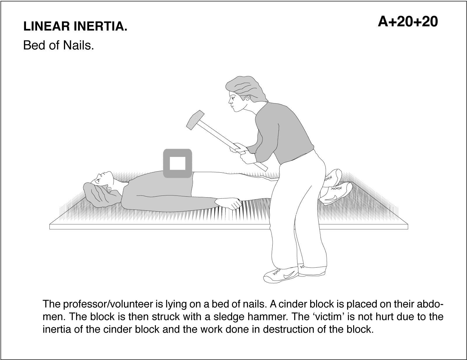 Bed Of Nails Physics