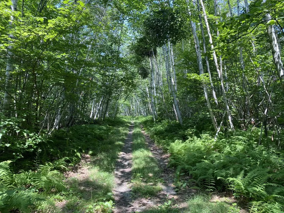 Father Loop Trailhead in Alford, MA Berkshires Outside