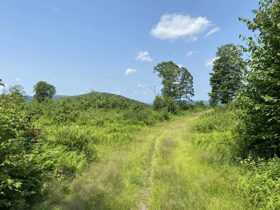 Father Loop Trailhead in Alford, MA Berkshires Outside